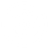 Gear inside a circle icon